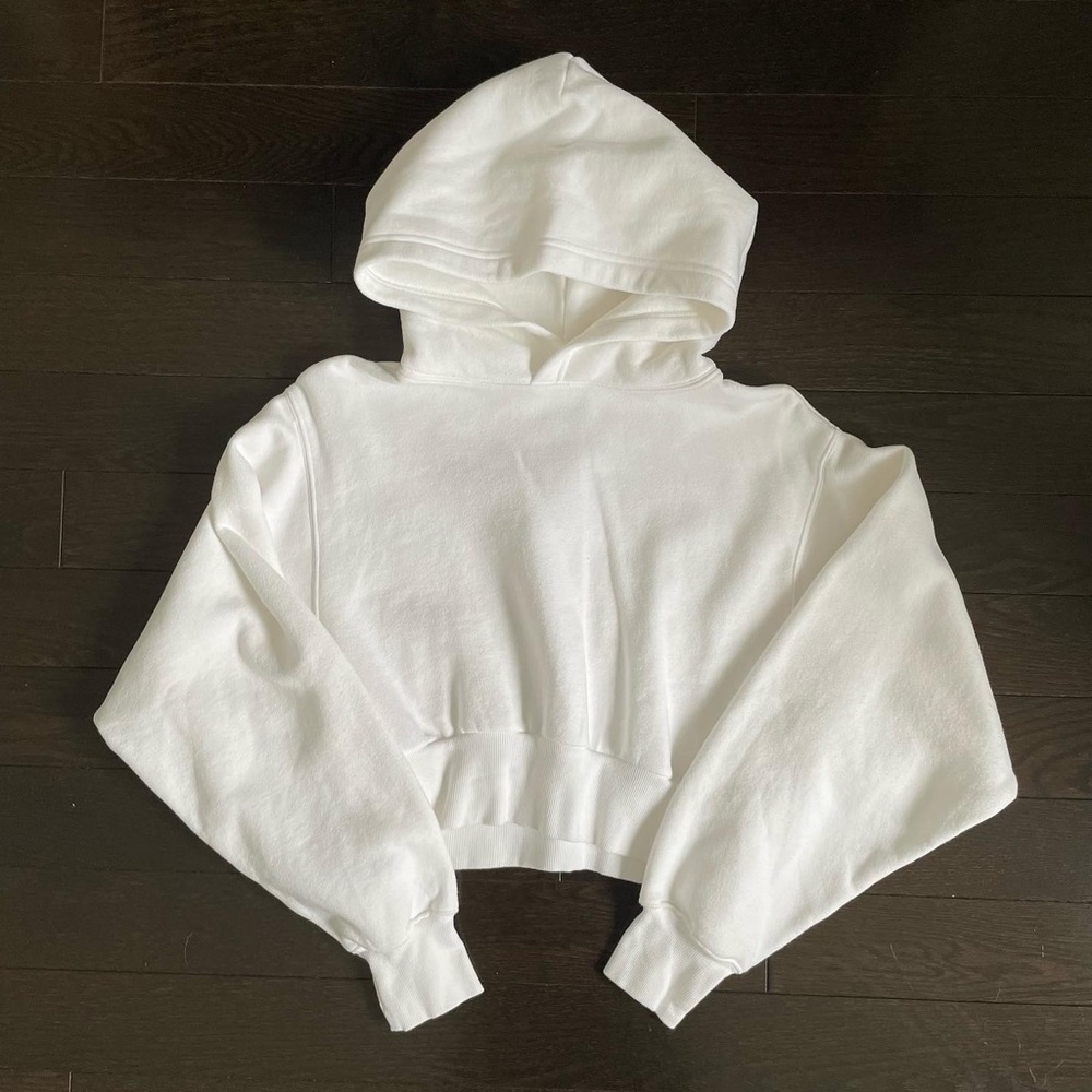 Aritizia Cozy AF hoodie